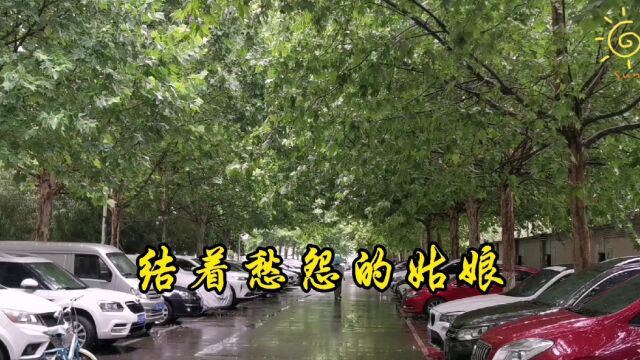 《雨巷》,郑愁予,你带着一份真挚的感情,走进这雨巷,遇见的那位姑娘,你还记得吗?