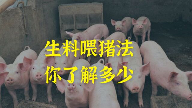 生熟喂法各有优劣,今天给大家讲一下生喂法,养猪人值得一看!