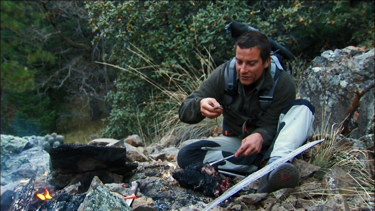 荒野求生贝爷偷拿美洲狮藏的食物吃上了香喷喷的烤猪肉