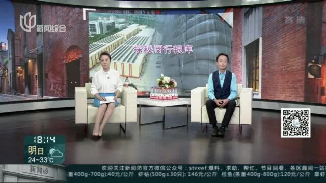 公众探秘闵行粮库 “有技有量”心中不慌