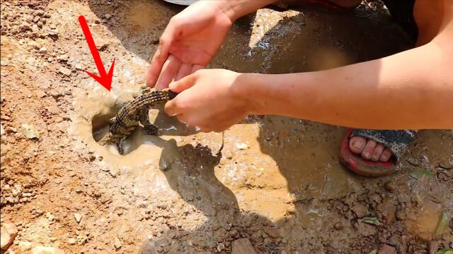 钓鲶鱼的多种“土方法”,简单有效的方法才是好方法