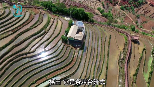 四川最大傈僳族聚居地,攀枝花米易梯田,的确像世外桃源