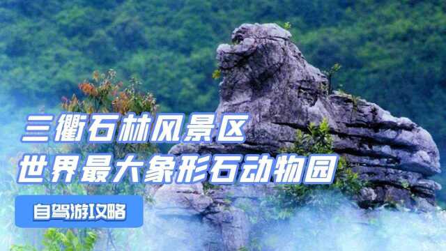 三衢石林风景区,华东第一石林,被誉为世界最大象形石动物园