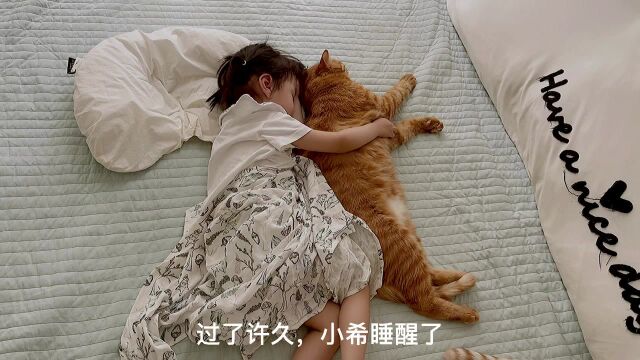 猫咪公主睡醒后开启吸猫模式,猫咪们纷纷被征服