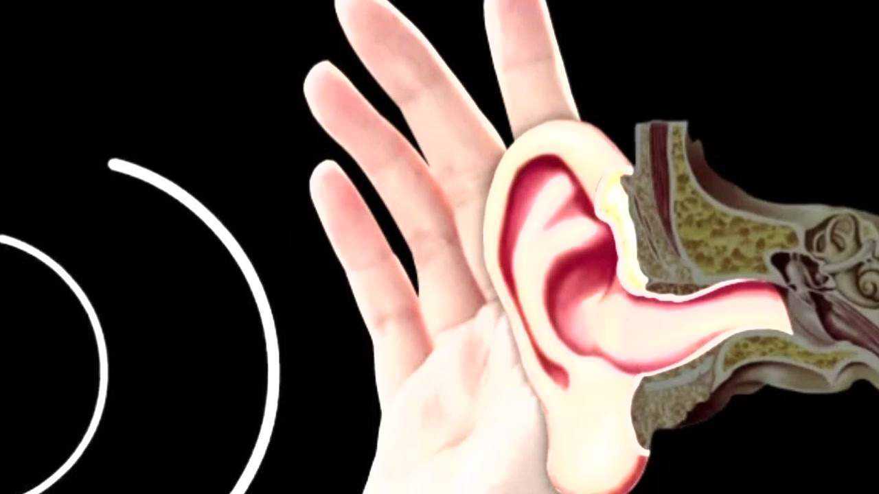 听觉器官在声波的作用下产生的对声音特性的感觉其适宜刺激物是声波