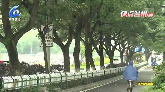 【温视频】梅汛降雨集中期基本结束 今起温州市迎来晴热高温天气