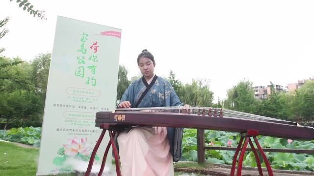 采莲蓬、品莲子、听古曲,周末哪里去?宝岛公园“荷”你有约