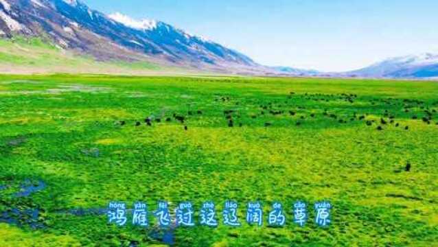 呼伦牧歌,乌兰齐齐格演唱,草原歌曲请欣赏.