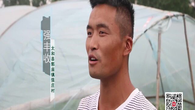 邮政金大地——邮政金大地惠农合作 助力乡村振兴 