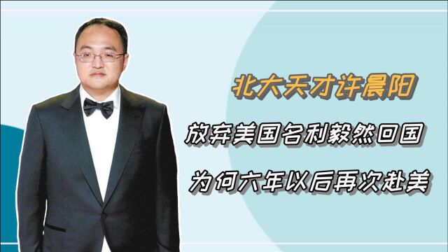 北大天才许晨阳:弃美回国6年后为何再次赴美?他的回应让人深思