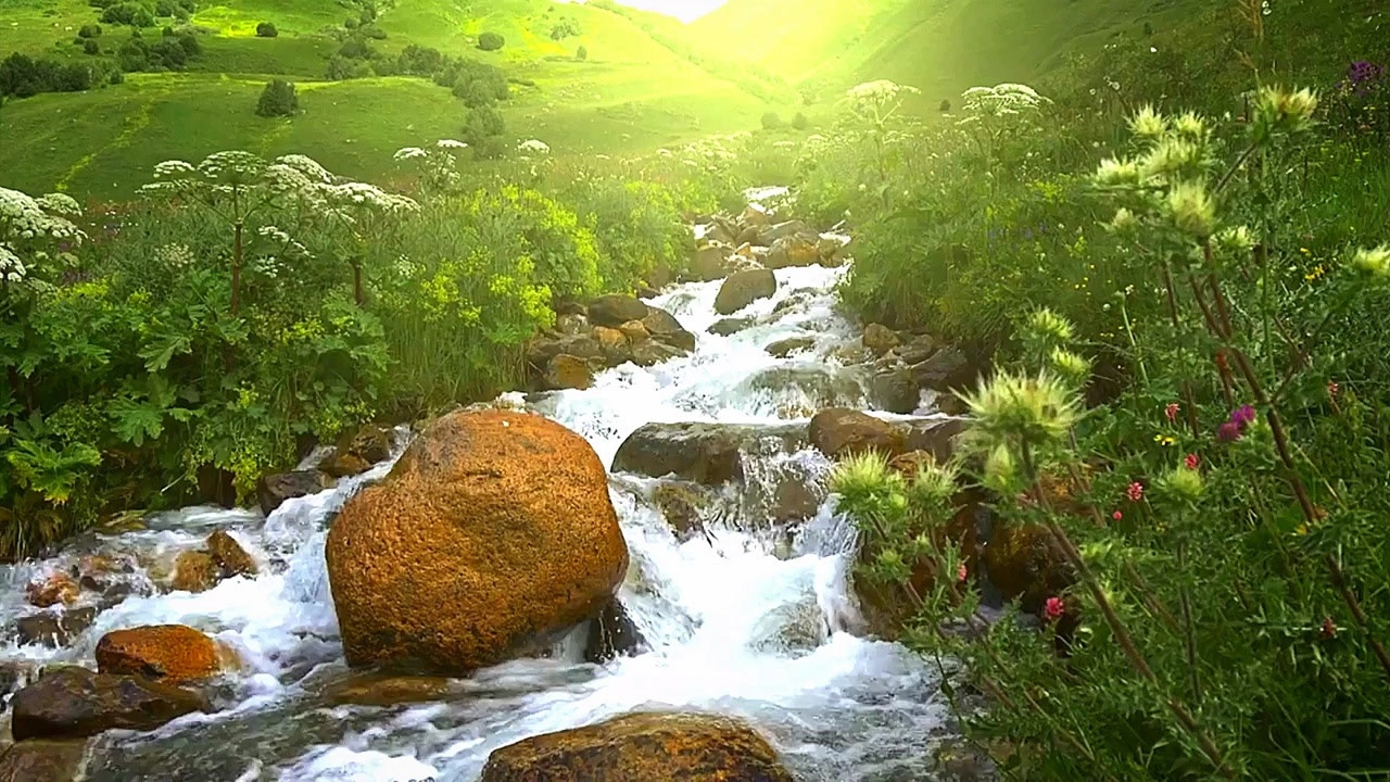 小溪流水唯美视频_腾讯视频
