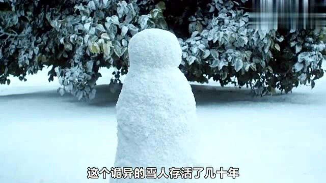 电影:男孩堆雪人,没想到复活了雪人,把雪人变成了杀人武器