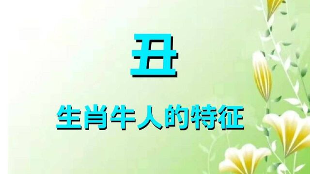 丑字的特征和性格