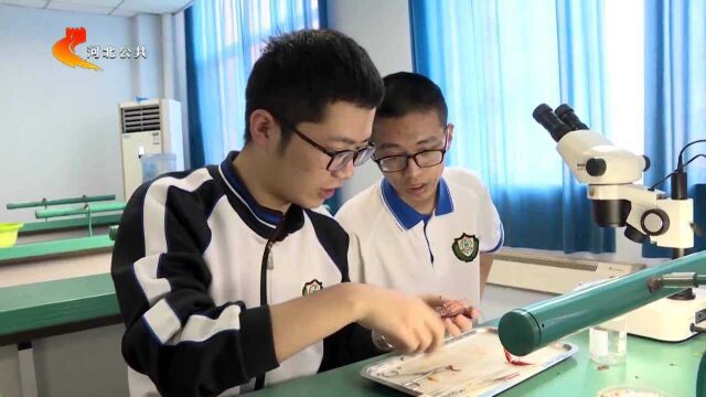 衡水中学陈建宇勇夺第32届国际生物学奥林匹克竞赛金牌