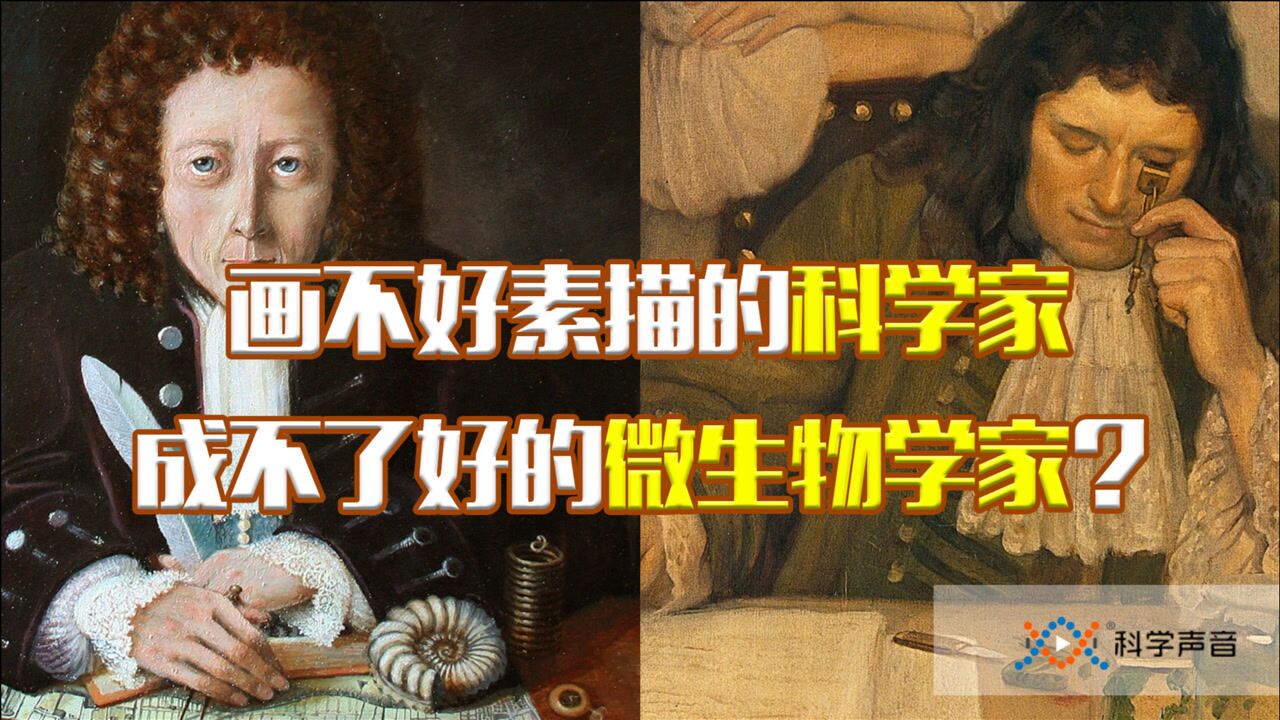 胡克与列文虎克:他俩谁也没发明显微镜,但画的细胞素描可以PK_腾讯视频