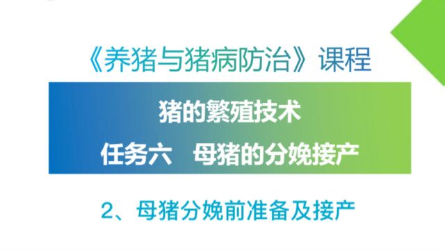 《养猪与猪病防治》课程十:母猪的分娩接产2、母猪分娩前准备及接产