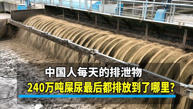 中国每天产生240万吨屎尿,最后排放到哪里了,真会循环回家里?