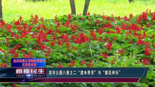 滨河公园八景之二“渡水寻芳”与“梨花伴乐”