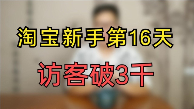 电商小白开店做鱼饵的第16天,总访客已超过3000个