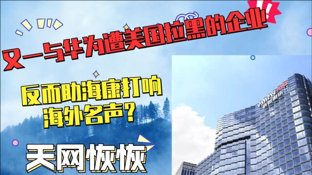 又一与华为遭美国拉黑的企业,反而助海康打响海外名声?天网恢恢