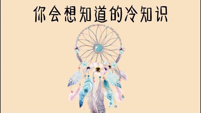 梦境可以预知现实吗?有没有梦境里的事现实中出现过?你会想知道的这些冷知识,值得看一看