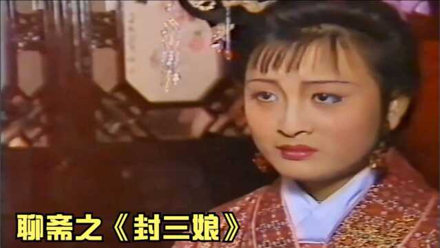 聊斋:狐仙被女子美貌所迷,帮她找到姻缘,却破戒毁了500年修行