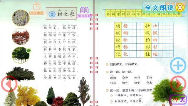 二年级语文上册识字2《树之歌》