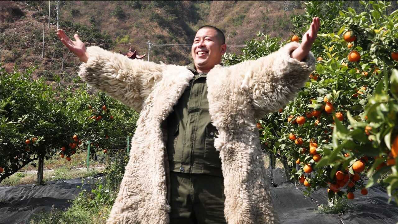 跨越3000公里的爱恋,大海哥走出长白山,大渡河畔,生有黄金果_腾讯视频