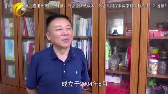 企业代表安徽碧云物业管理有限公司总经理 方碧云