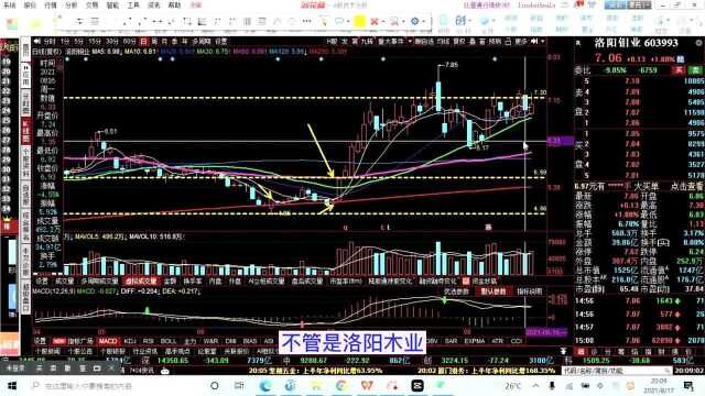 8.17潍柴动力、新天绿能、洛阳钼业