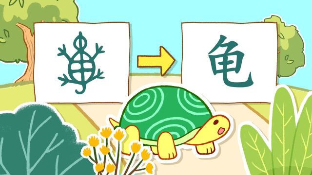 【瑞克斯画字:龟】龟兔赛跑的"龟"字,象形像只小乌龟#知识π计划-知识