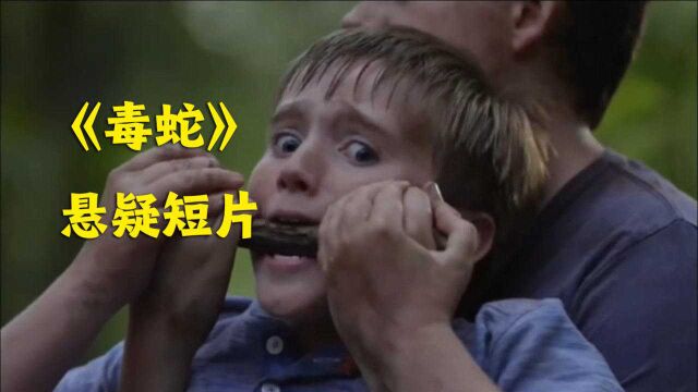 悬疑反转短片《毒蛇》,一定要看到最后!