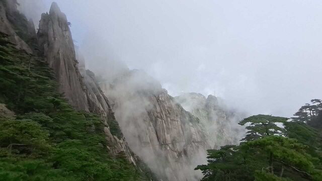 黄山云雾缭绕,一路的风景变幻多端,时时处处都能给人以惊喜