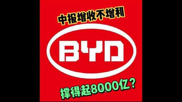 比亚迪半年报出炉,增收不增利凭什么撑起8000多亿市值?