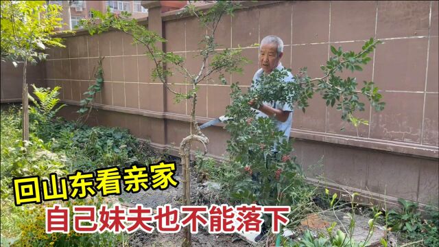 马上要跟山东儿媳回娘家,这北京老头要干件大事,着急赶工送妹夫