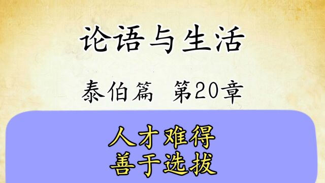 论语解读与生活运用八:泰伯篇第20章原文解读国学经典传统文化 人才难得要善于选拔