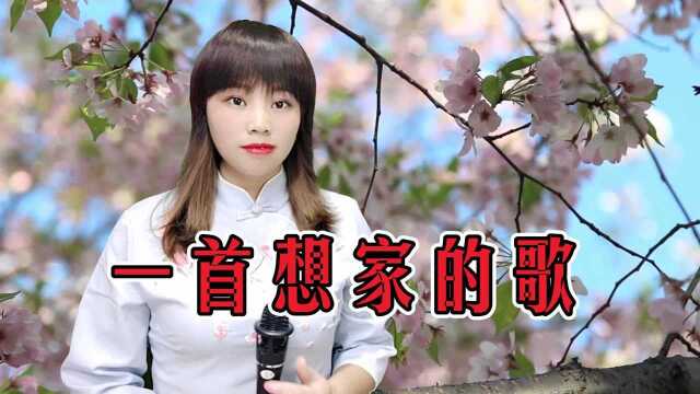 一曲《一首想家的歌》,想家想父母,听哭了多少在外漂泊的人!