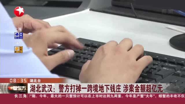 湖北武汉:警方打掉一跨境地下钱庄 涉案金额超亿元