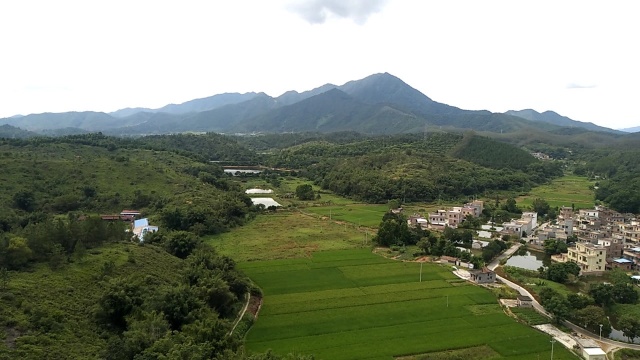 秋天到了,树叶黄了,乡村里的景色还是一片绿油油的