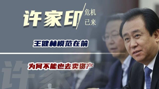 王健林面对危机可以买资产,许家印面对危机,为何不能也去卖资产