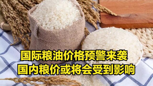 9月17日:国际粮油价格预警来袭,国内粮价或将会受到影响?