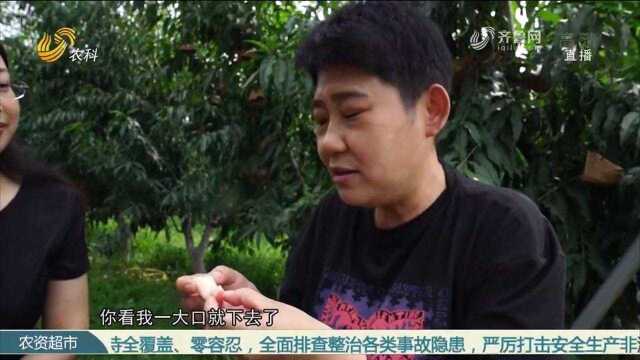 “”不上货架的蜜桃“”