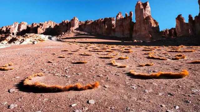 这才是真正风景绚丽的地方,多姿多彩的风光,独具风韵的景观!