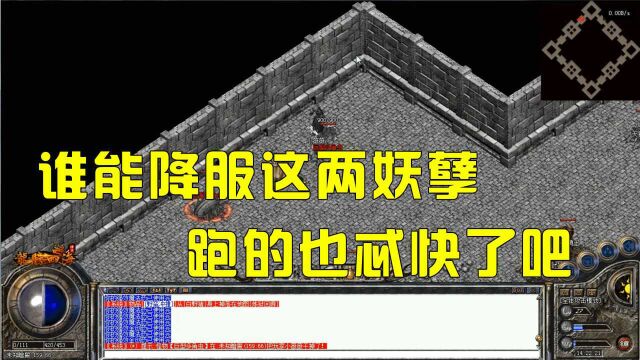 热血传奇:新176测试, 未知暗殿走法,4个品种800只宝宝等你召唤