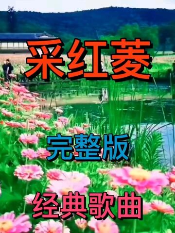 經典歌曲採紅菱