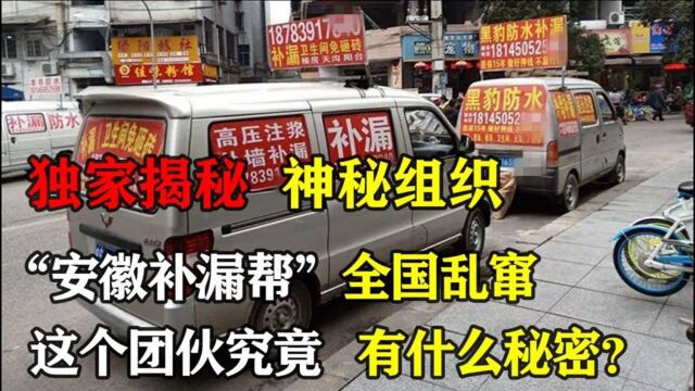 神秘组织“安徽补漏帮”,全国乱窜却无人问津,这背后有什么秘密?