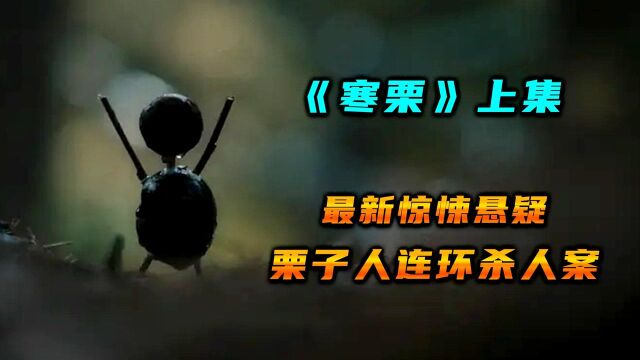 《寒栗》每个施暴者都可能是受害者 心向阳光或地狱 不过一念之间