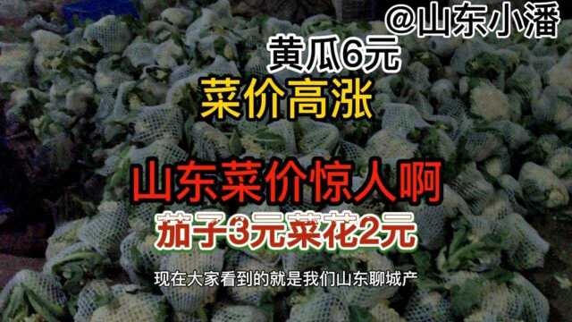 蔬菜不停涨价 山东蔬菜价格暴跌 黄瓜6元茄子3元菜花2元