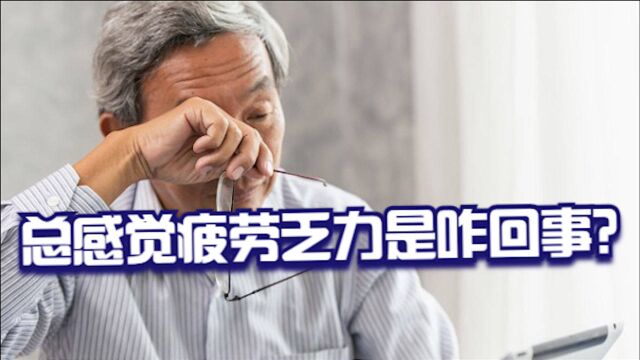 总感觉疲劳乏力是咋回事?或许和这3事有关,早学会精力更旺盛