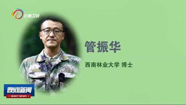 我们和它们:中国唯一的类人猿长臂猿